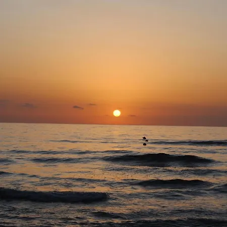Gandia Playa-apartamento Gandiazar 2 - Vt- 49300-v Playa de Gandia