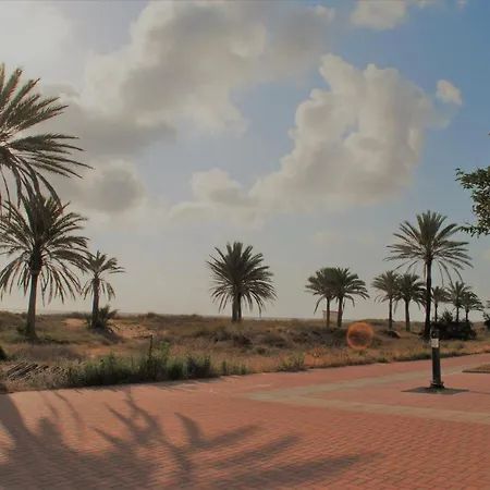 Gandia Playa-apartamento Gandiazar 2 - Vt- 49300-v Apartment *